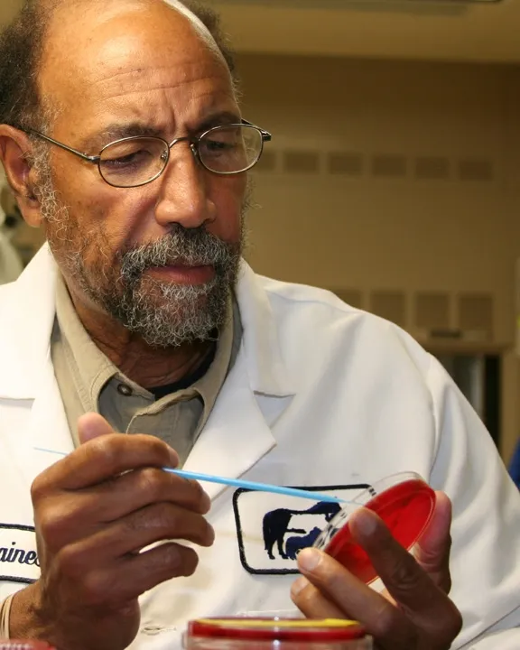 Losing Ground: How Bacterial Resistance Is Quietly Eroding Cipro's Power to Heal