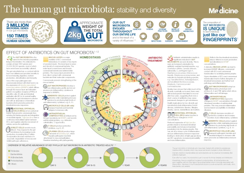 After the Antibiotic: How Cipro Can Leave Your Immune System Struggling to Stand on Its Own